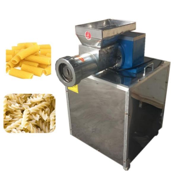 Screw Extruder Pasta Manufacturing Machine Stable Performance 1 Year Warranty