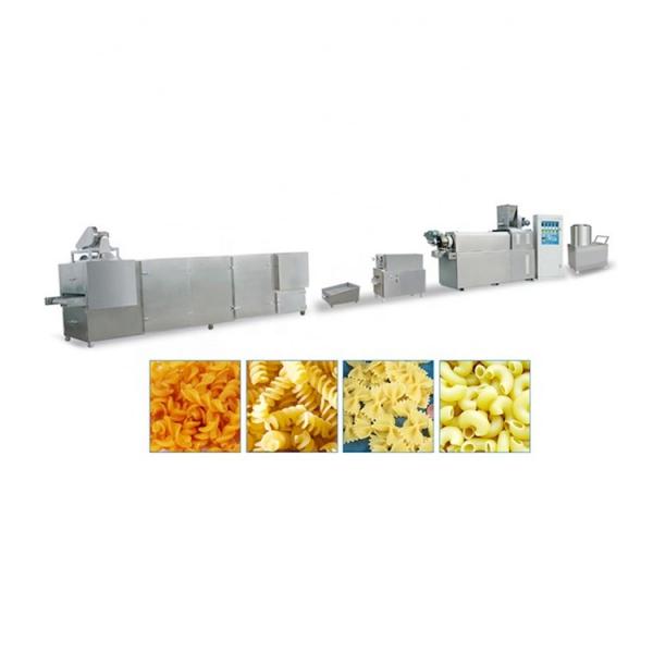 Pasta and macaroni production line / fresh pasta machine for sale 1 buyer