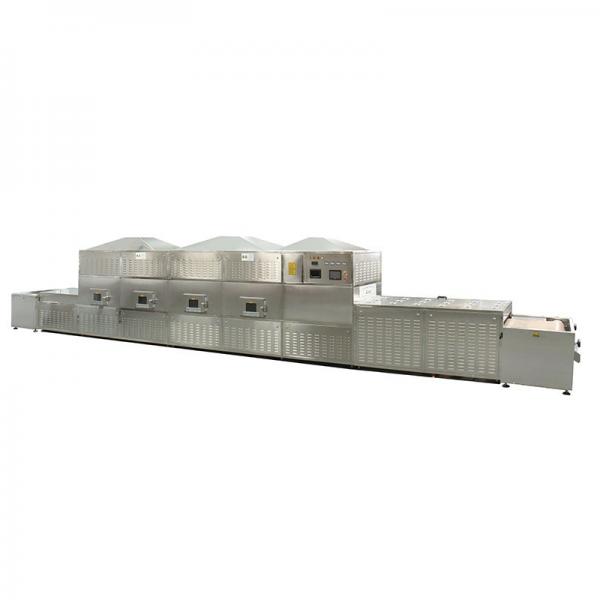 Industrial Microwave honey products Vacuum Drying Equipment