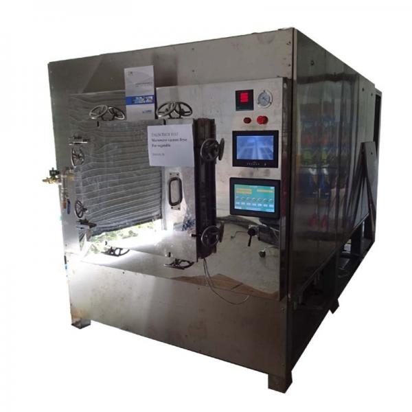 Industrial microwave tunnel dryer