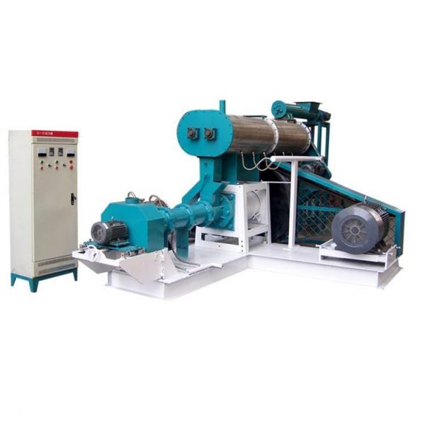Twin Screw Conveyor Floating Fish Feed Extruder Machine Fully Automatic