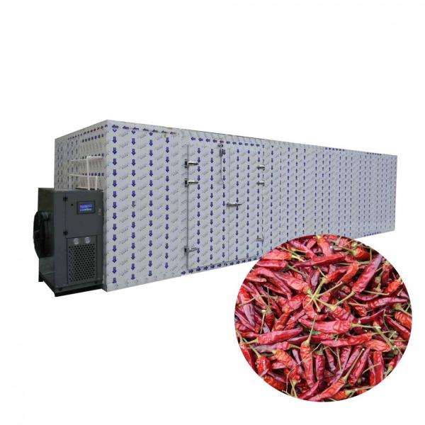 Chili drying machine commercial industrial dehydrator