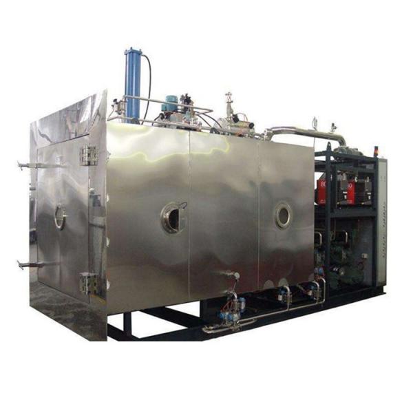 Industrial herbs seed flower blueberry vacuum freeze dryer machine for sale