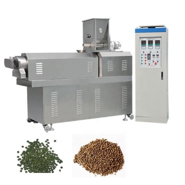 cat dog food kibble big capacity machine automatic dry dog food production equipment