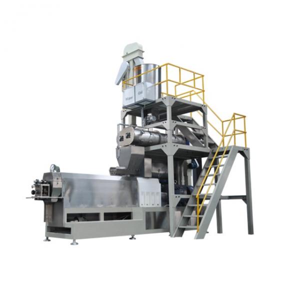 Fully automatic drying floating fish feed machine fish feed extrude machine fish food pellets equipment